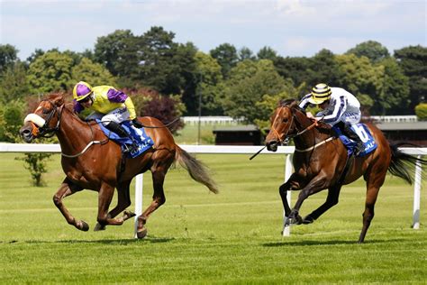 fast horse results|Fast Horse Racing Results .